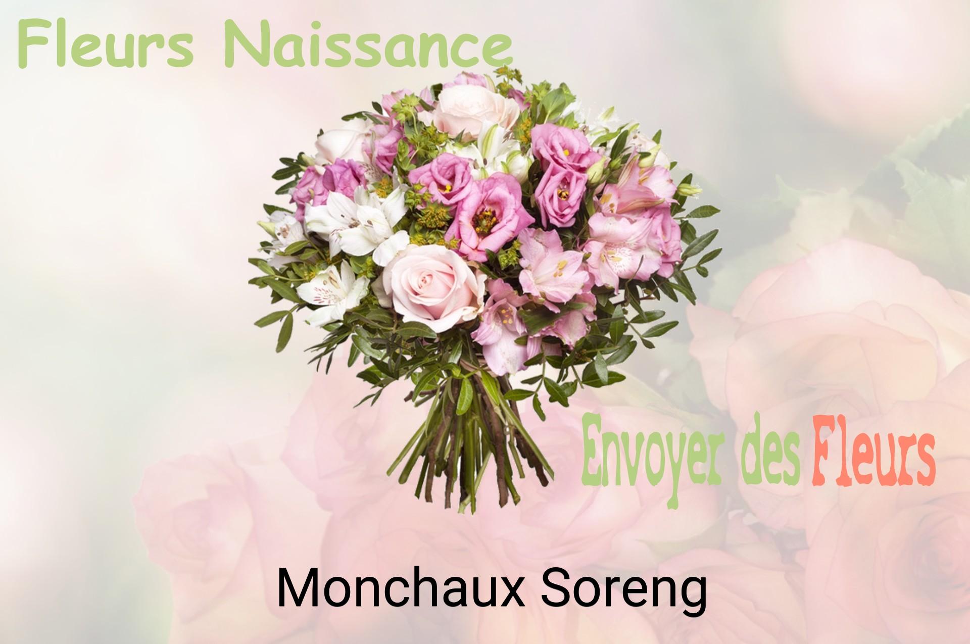 Bouquet de fleurs de naissance livré à Monchaux-Soreng